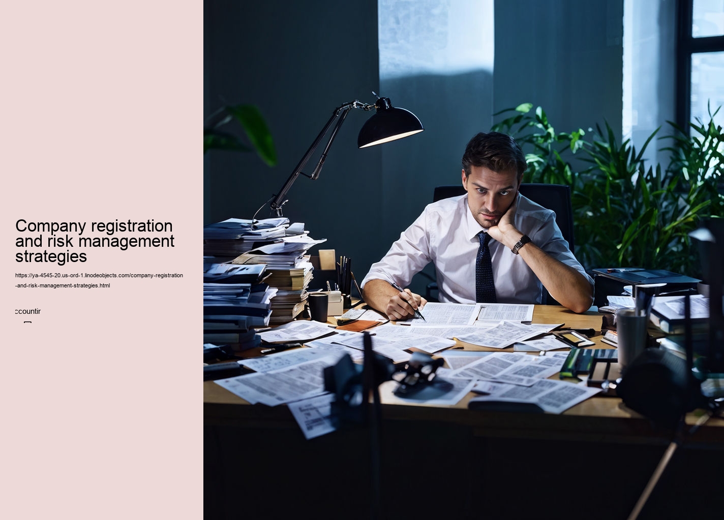 Company registration and risk management strategies